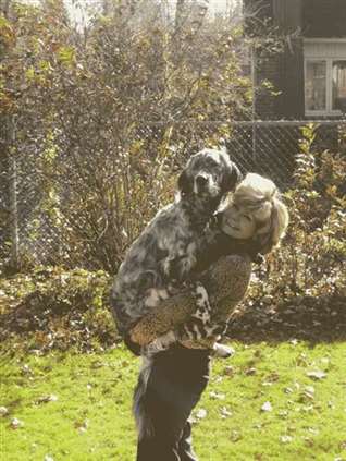 Click for large image