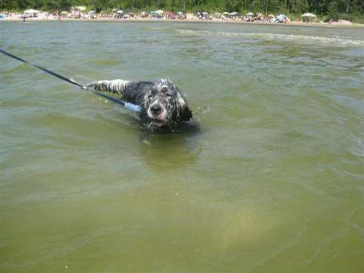 Click for large image