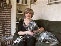 Click for large image