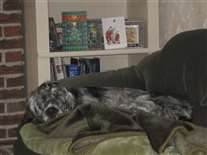 Click for large image