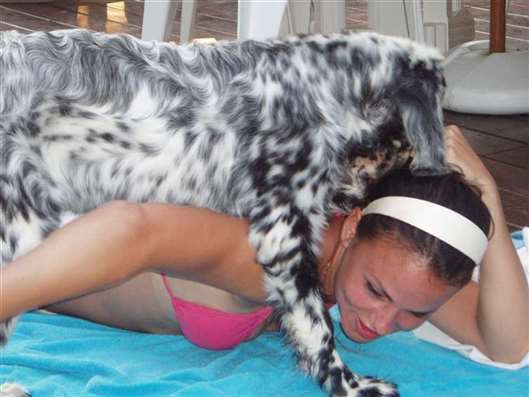 Click for large image