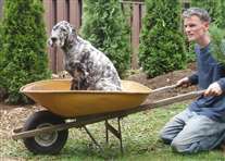 Click for large image