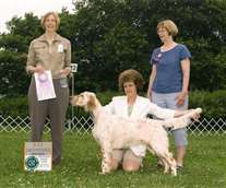 Click for large image