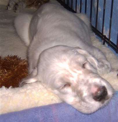 Click for large image