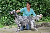 Click for large image