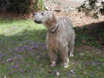 Click for large image