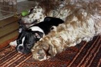 Click for large image