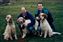 Chester, Tara, Allen (who owned Chester), Richard and Porto, when they came to visit us at a dog show.  All three littermates are about a year old or so.