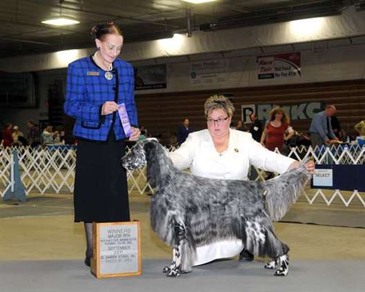 Click for large image