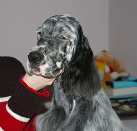 Click for large image