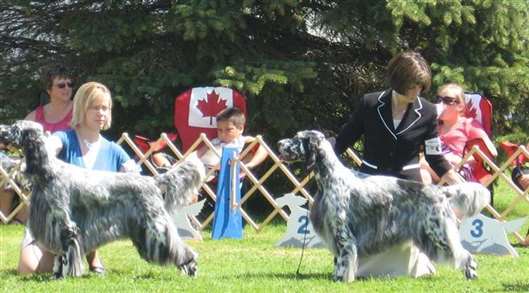 Click for large image