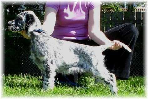 Click for large image