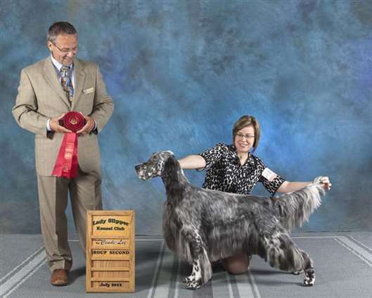 Click for large image