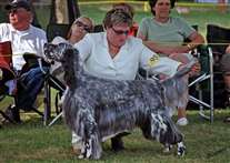 Click for large image