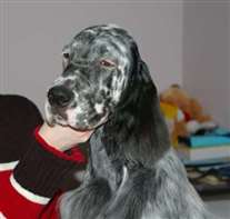 Click for large image