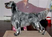 Click for large image