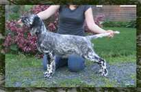 Click for large image