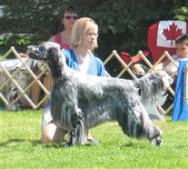 Click for large image