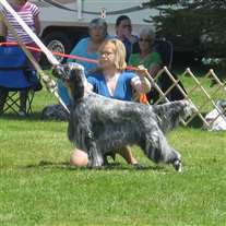 Click for large image