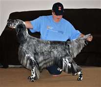 Click for large image