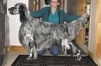 Click for large image