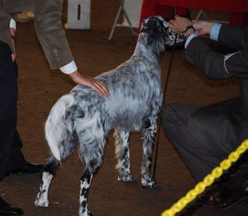 Click for large image