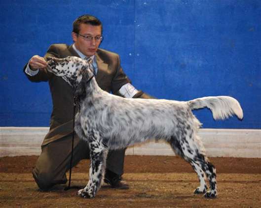 Click for large image