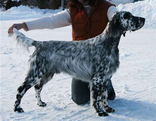 Click for large image