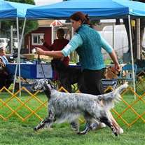 Click for large image