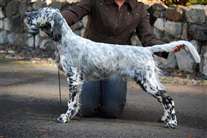 Click for large image