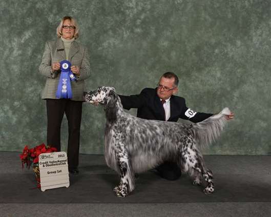 Click for large image