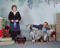 Click for large image