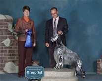 Click for large image