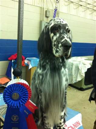 Click for large image