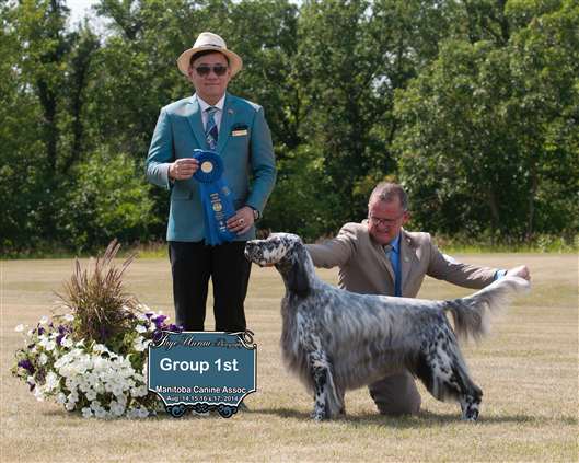 Click for large image