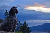 Click for large image