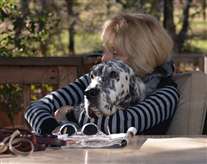 Click for large image