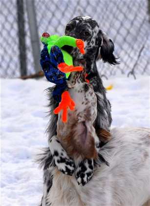 Click for large image