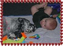 Click for large image