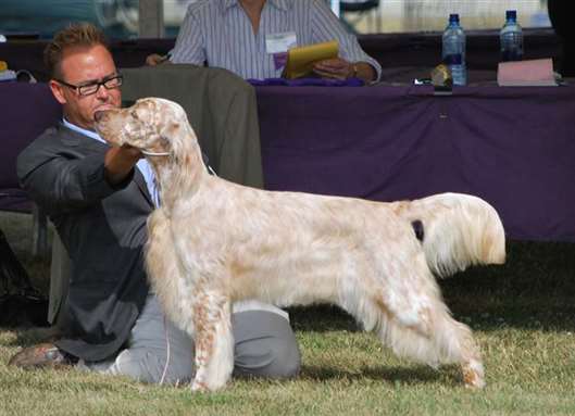 Click for large image