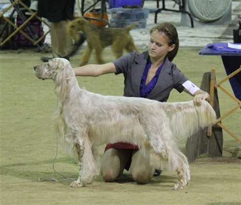 Click for large image