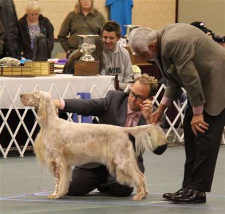 Click for large image