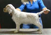 Click for large image