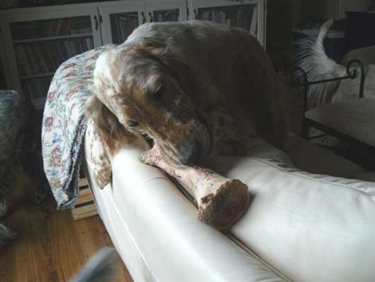 Click for large image