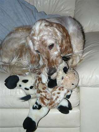 Click for large image