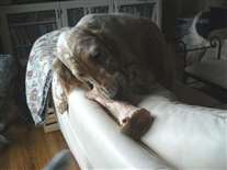 Click for large image