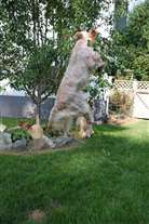 Click for large image