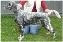 Click for large image