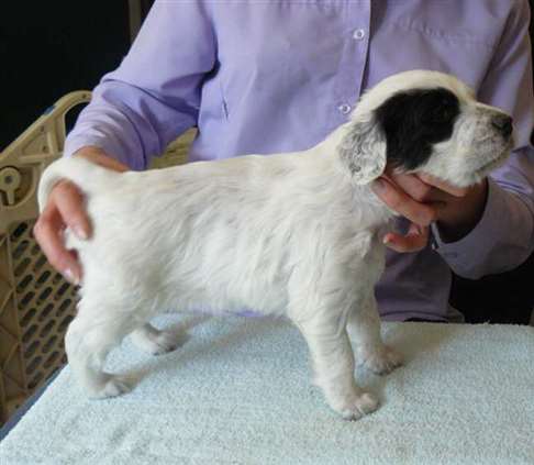 Click for large image