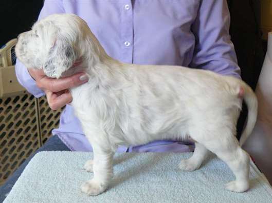 Click for large image